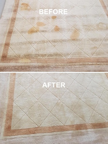 Rug stain removal toronto
