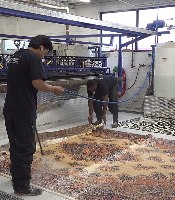 Area Rug Cleaners Ottawa