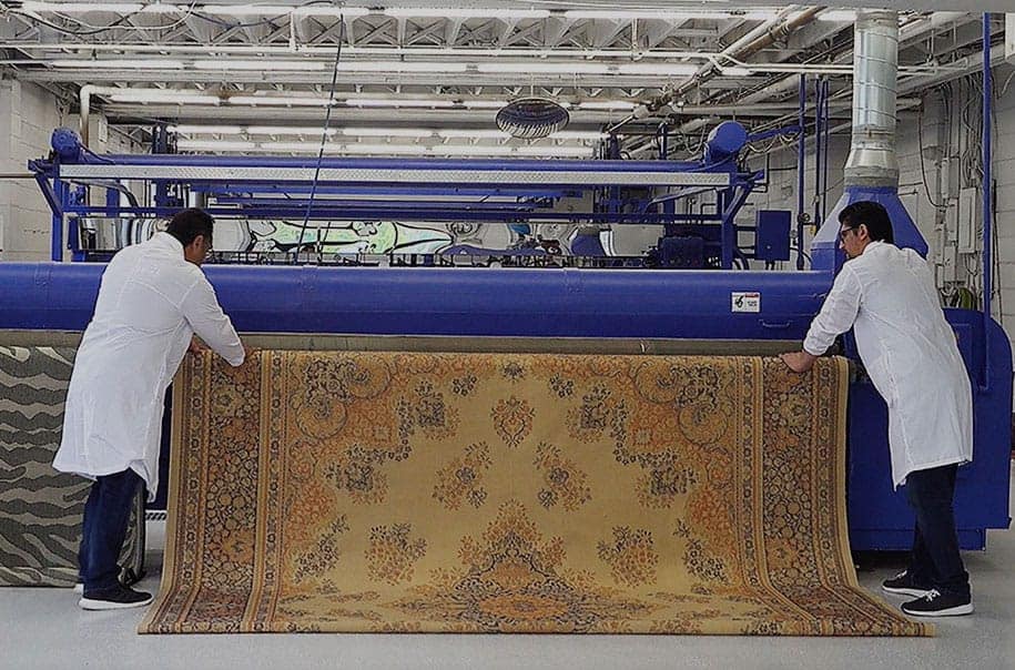 rug cleaning video home