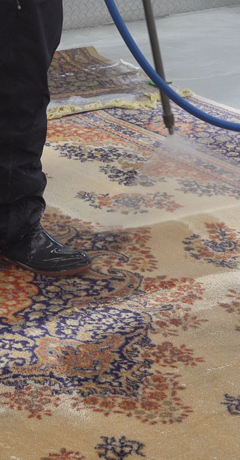 Professional Rug Cleaners Ottawa