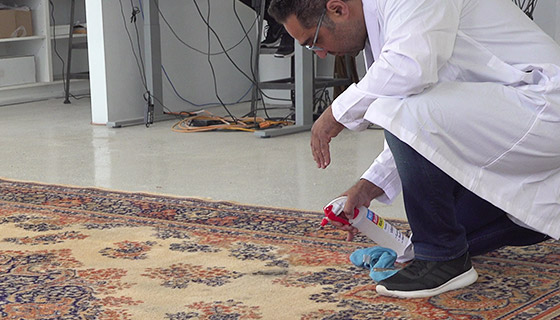 Area Rug Cleaning Pre Treatment Kanata