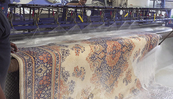 Area Rug Machine Wash Gatineau