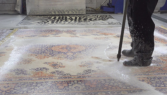 Area Rug Manual Wash Gatineau