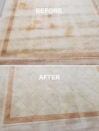 Rug stain removal ottawa