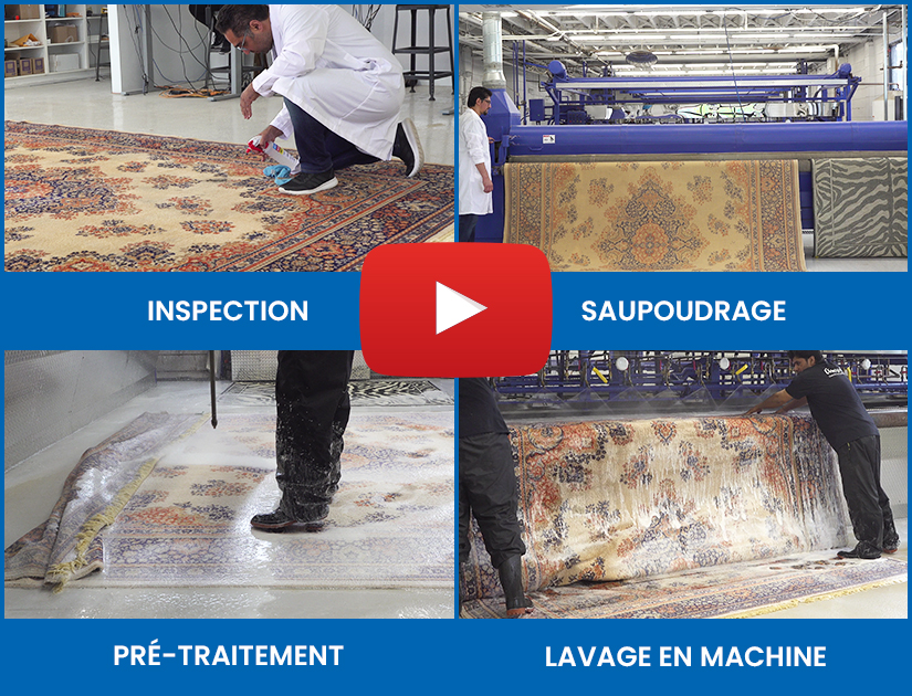 Rug-Cleaning-Process-Video-Toronto