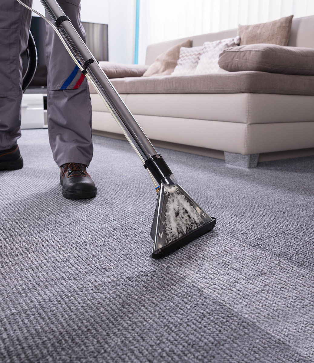 professional carpet cleaning near me