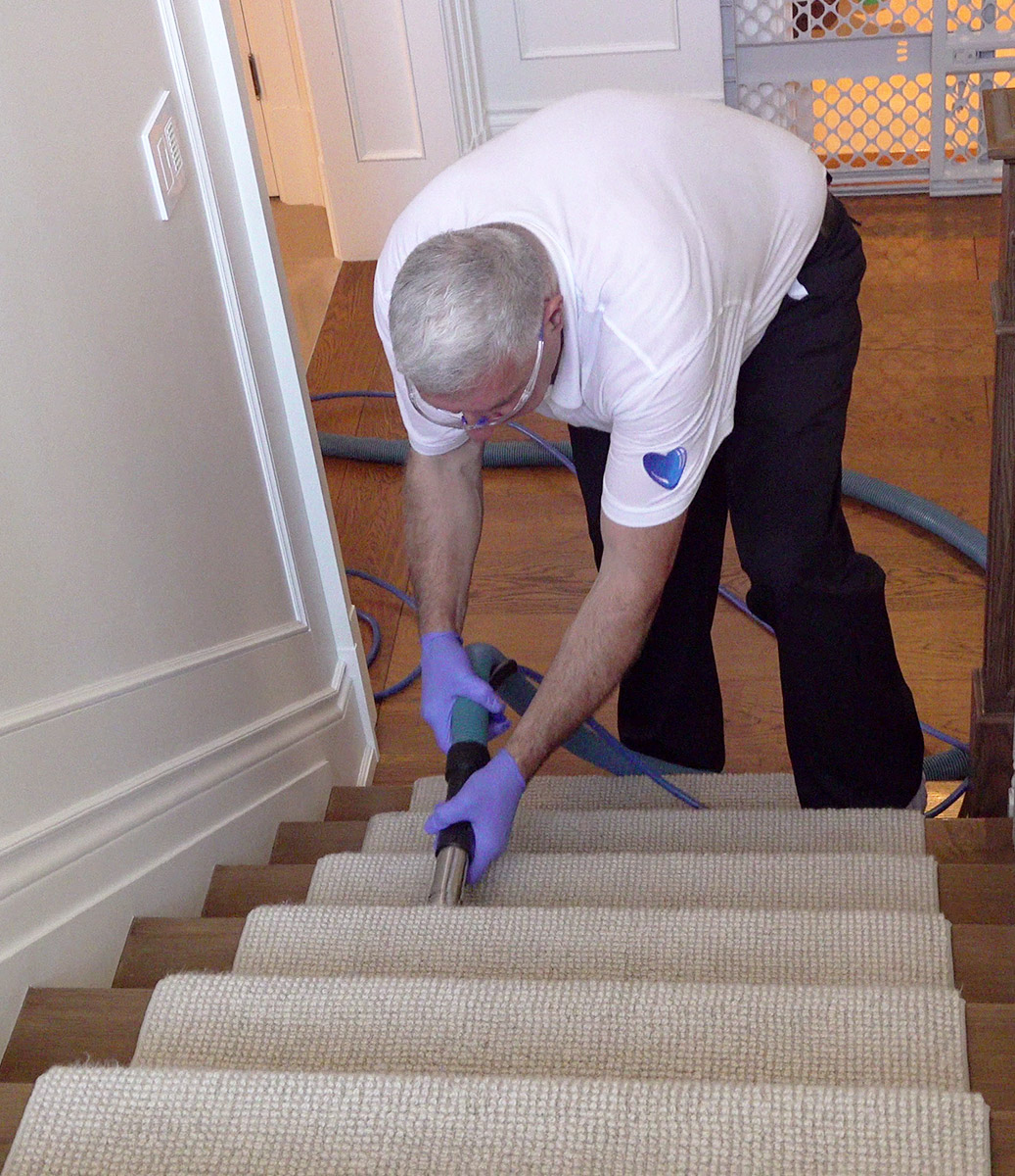 professional carpet cleaning services near me