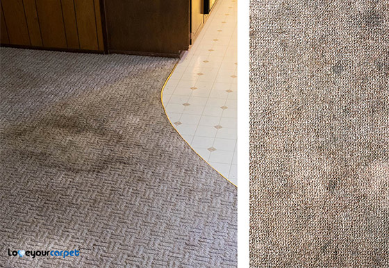 Step 1 Pre Inspection Carpet Cleaning Ottawa