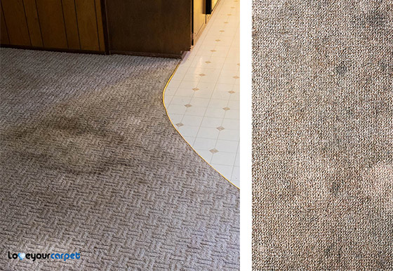 Step 1 Pre-Inspection Carpet Cleaning Ottawa