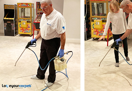 Step 4 Disinfection & Deodorization Carpet Cleaning Ottawa