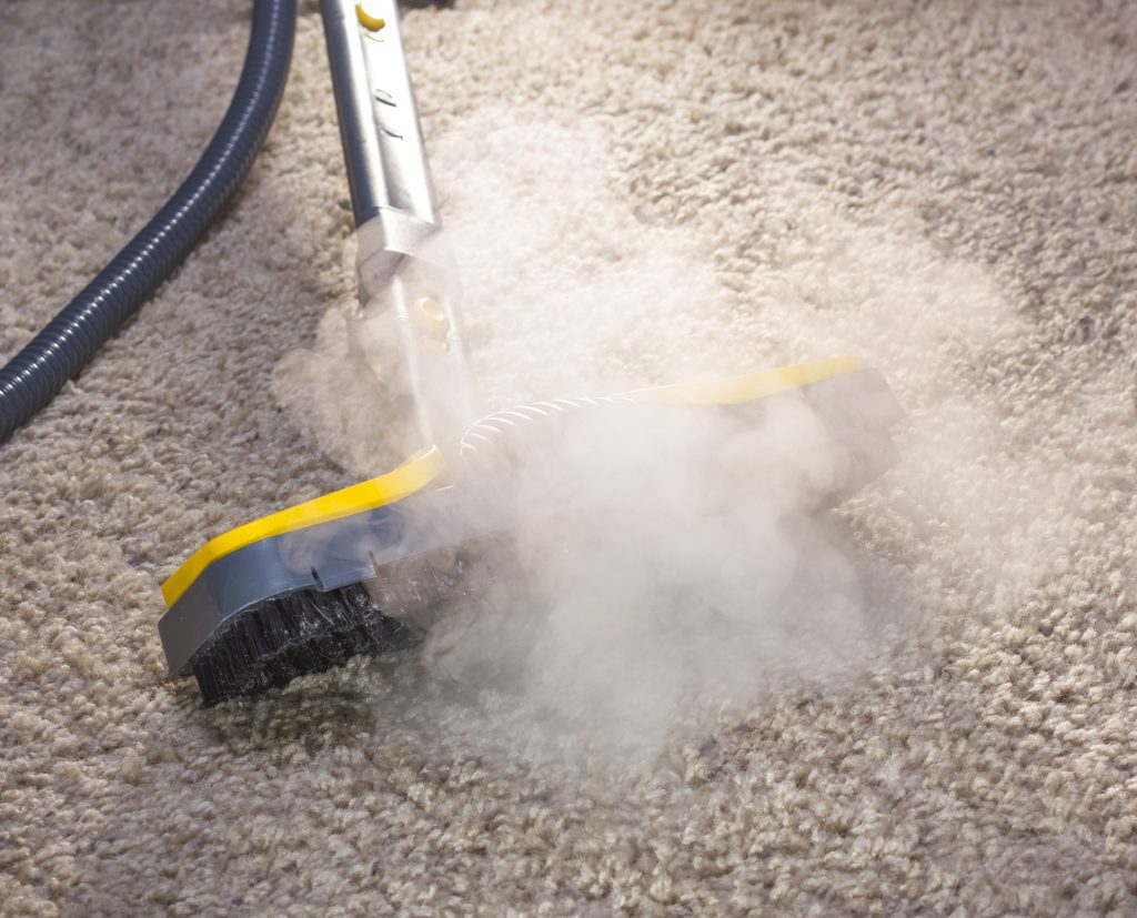 Dry Carpets After Cleaning