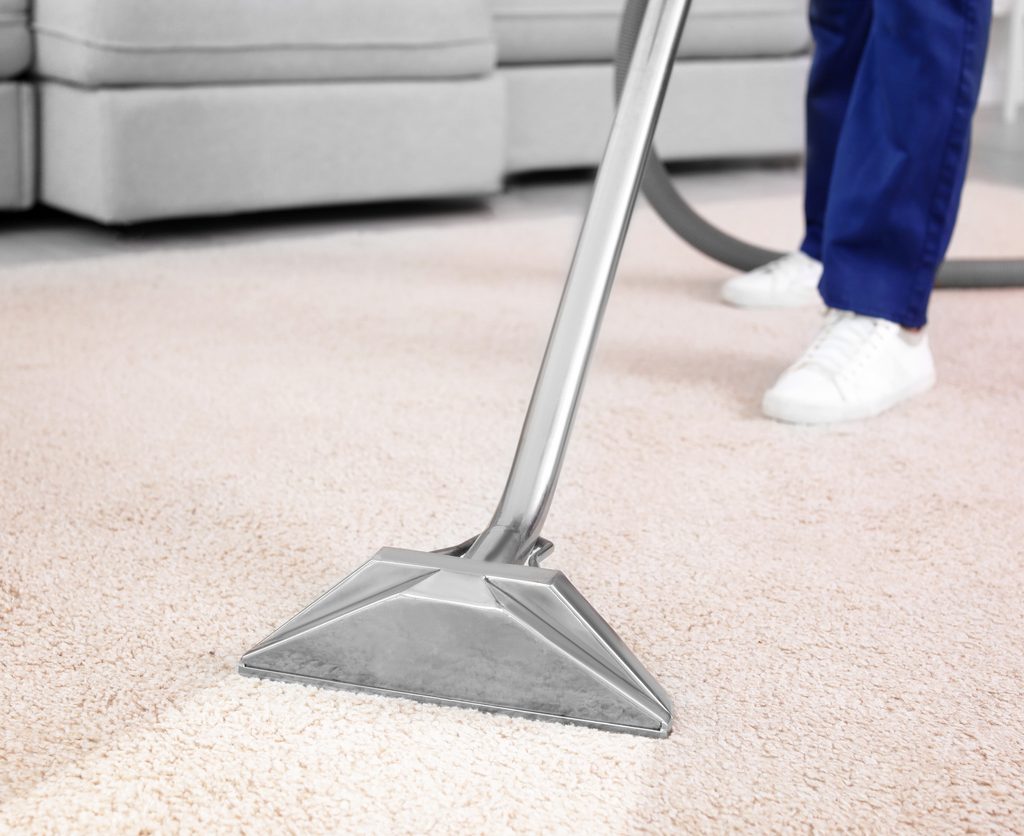 Dry Carpets After Cleaning