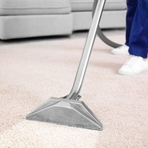 Dry Carpets After Cleaning