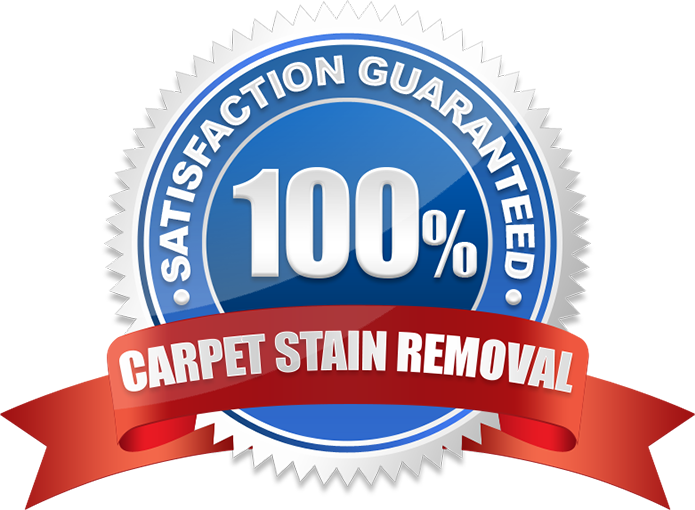 Satisfaction Guarantee Carpet Stain Removal Service