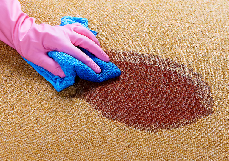 Blood Stain Removal Carpet Cleaning Ottawa