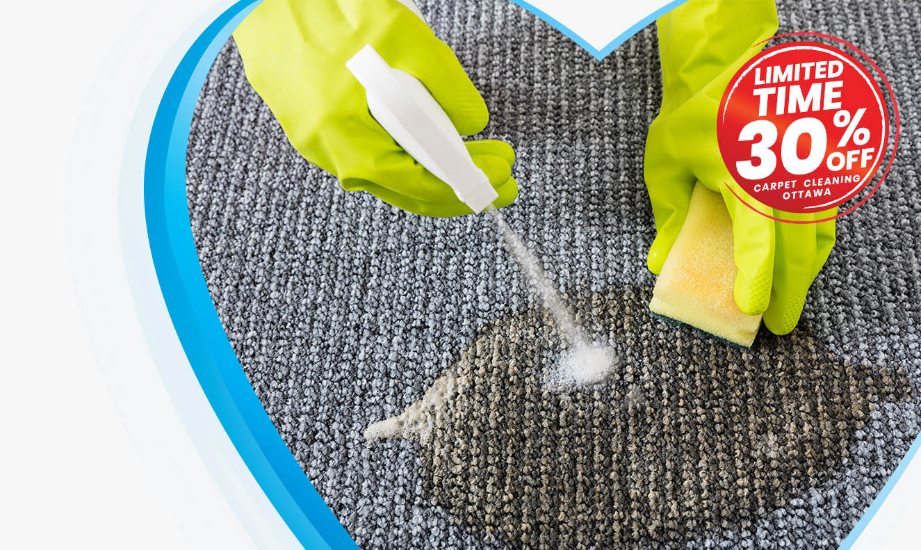 Carpet cleaning and stain removal