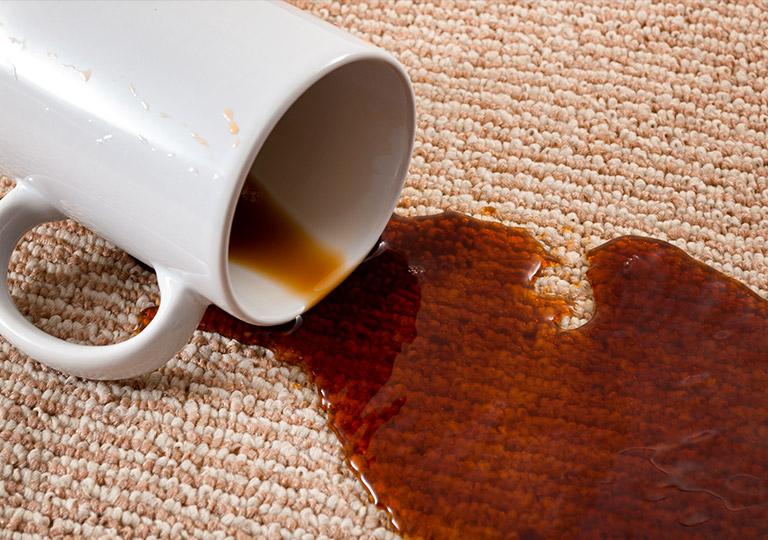 Coffee Stain Removal Carpet Cleaning Ottawa