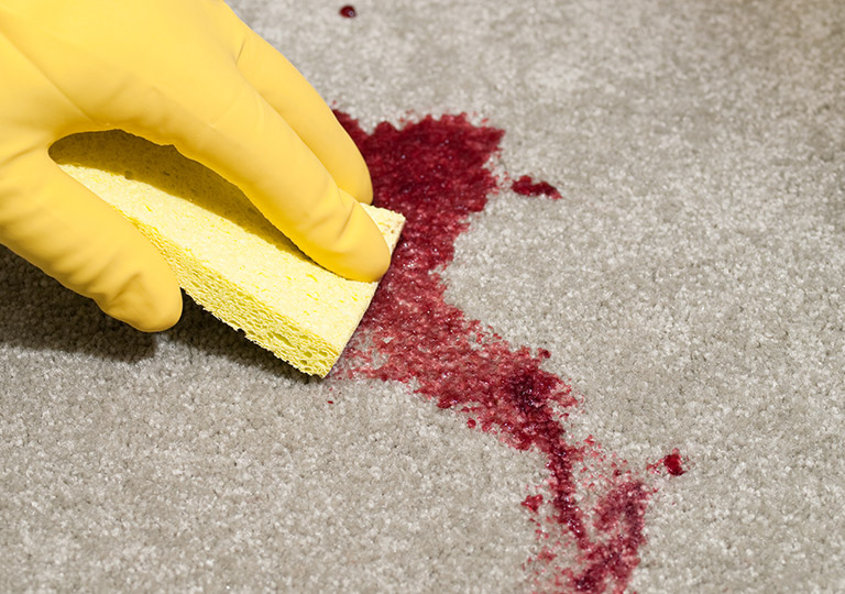 Ink Stain Removal Carpet Cleaning Ottawa