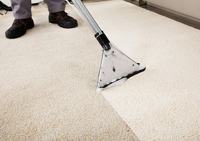 Makes Your Carpet Look Good As New​ Carpet Stain Removal Ottawa