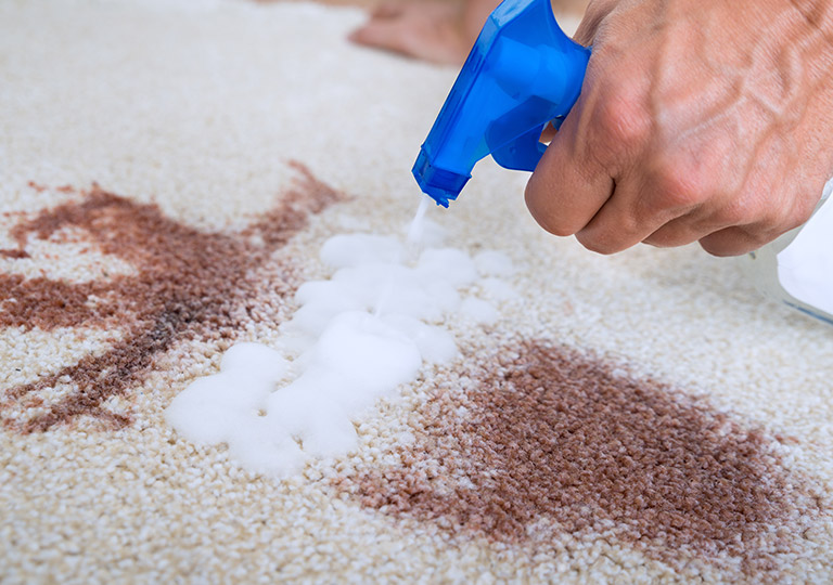 Permanently Removes Unpleasant Smells Carpet Stain Removal Ottawa