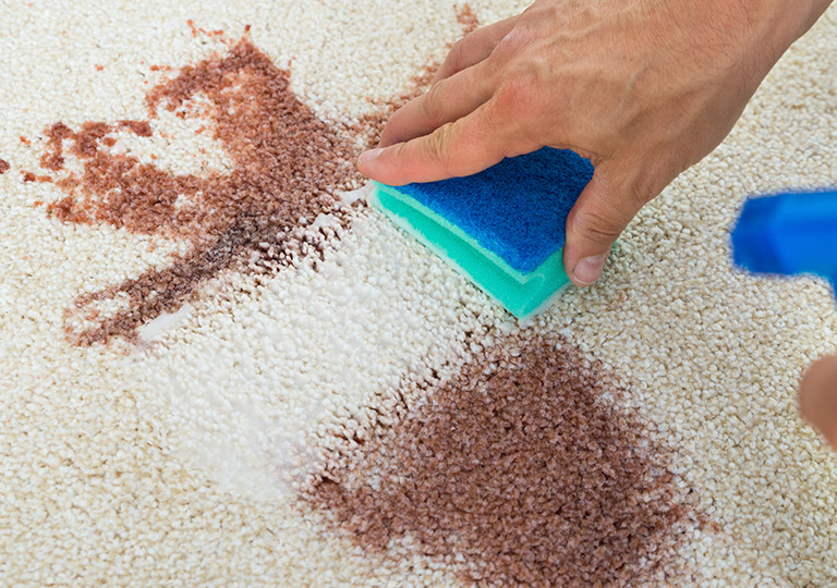 Removes Discloured & Soiled Areas Carpet Stain Removal Ottawa