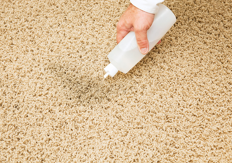 Restores the Original Colour of Your Carpet​