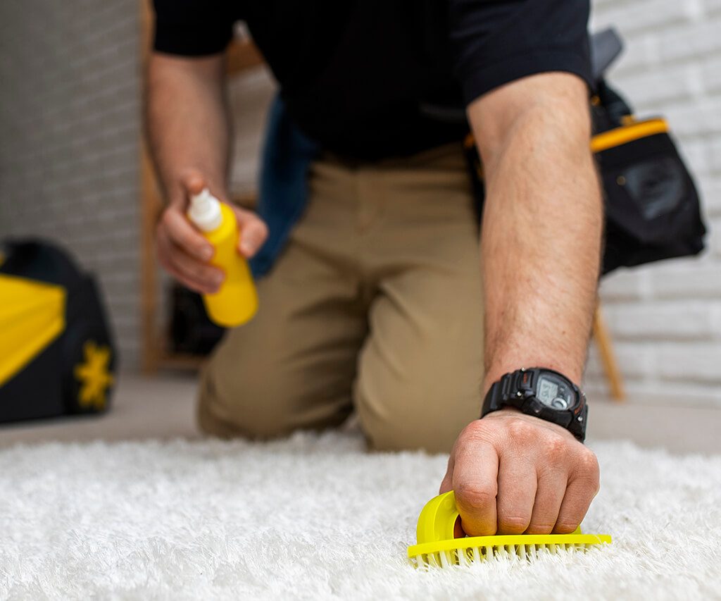 How to Get Stains Out of Carpet