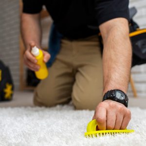 How to Get Stains Out of Carpet