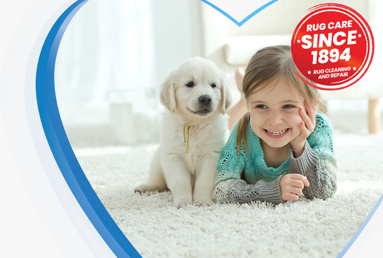commercial carpet cleaning in Ottawa