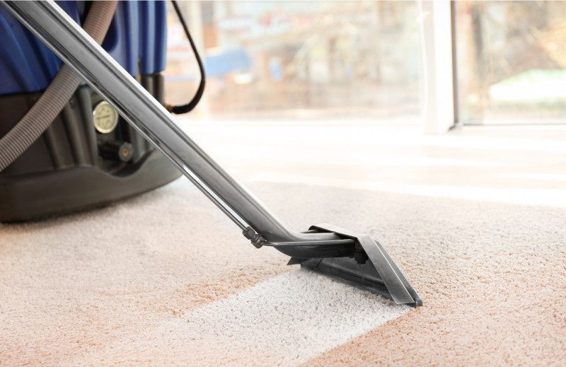 Longer Rug and Carpet Lifespan