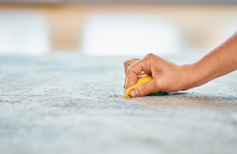 Professional Stain Removal