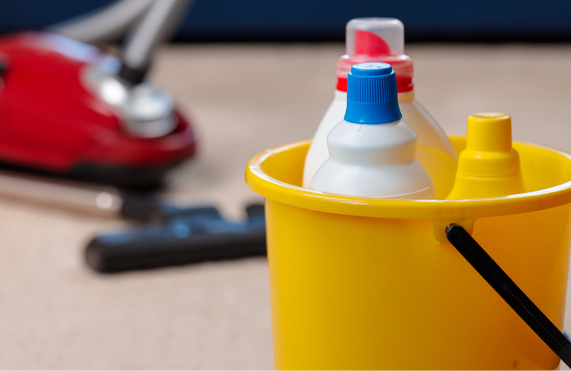 Safe Rug Disinfectant