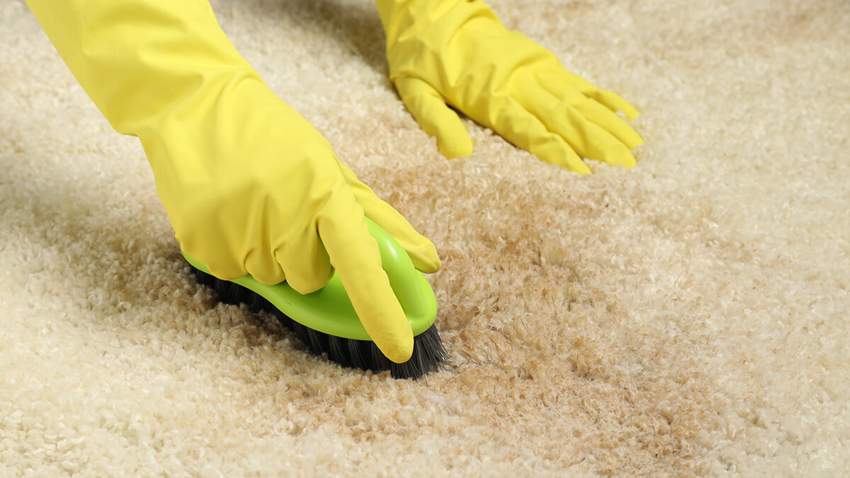 How to Remove Tea Stains From Carpet Using Safe At Home Methods
