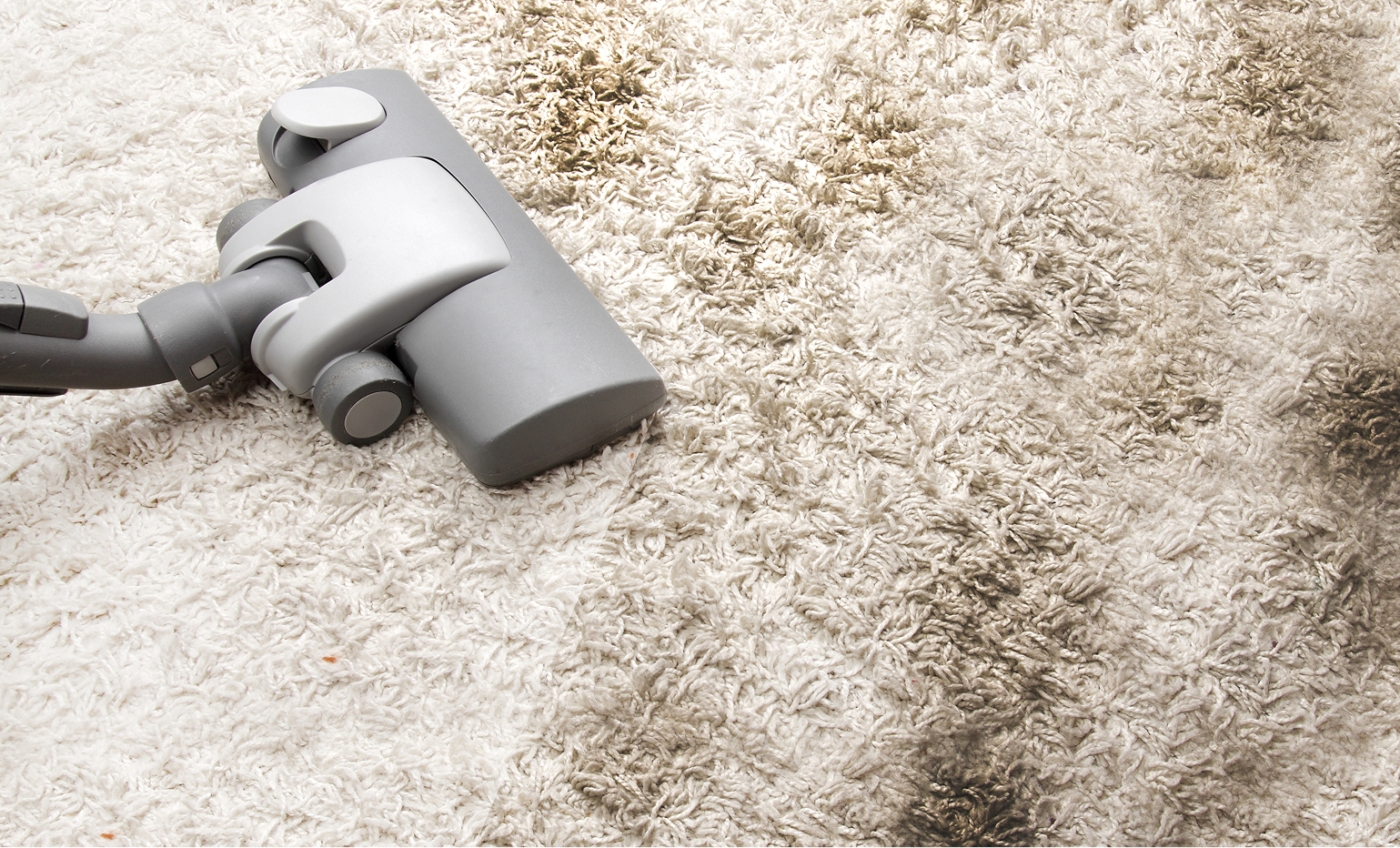 Carpets with visible dullness or buildup