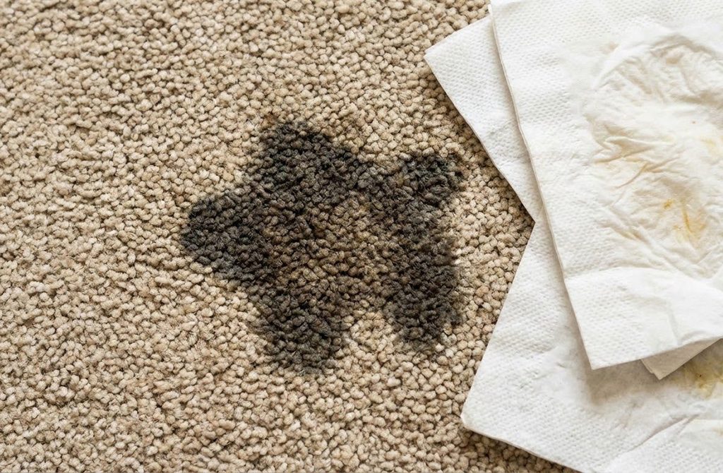 How To Get Grease And Oil Stains Out Of Carpet