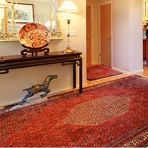 Area Carpet Cleaning in Ottawa