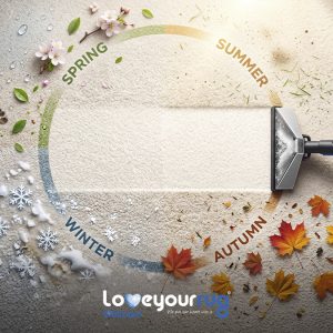 Best Carpet Cleaning Schedule For Ottawa’s Four Distinct Seasons