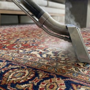 Carpet Deodorizing