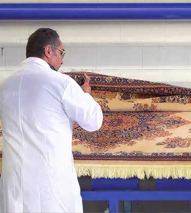 Detailed rug inspection