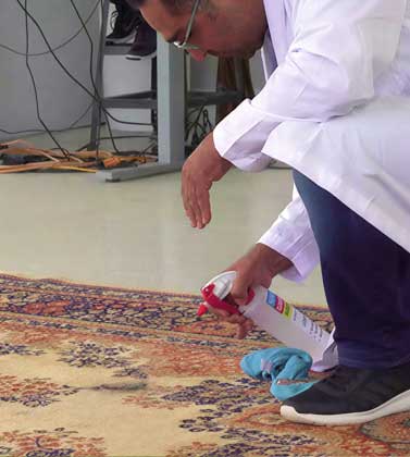 Stain and spot treatment