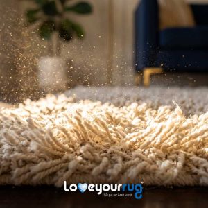 Ottawa Allergy Season Carpets
